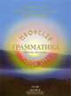 Грамматика. Часть 1+ CD, В. П. Гоч, М. С. Черноокий, А. А. Китаев, Е. В. Асташенко 