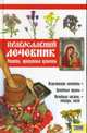 Православный лечебник. Рецепты, проверенные временем, Фролова Татьяна 