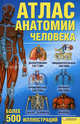 Атлас анатомии человека (БММ) новый, Голубкова Галина Анатольевна 