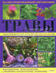 Травы. Иллюстрированный справочник / Гудрет Д., Гудрет Джессика 