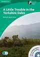 Cambridge Discovery Readers 3 Little Troule In York.Dales(+Cd)+C, Richard MacAndrew 