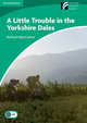 Cambridge Discovery Readers 3 Little Troule In York.Dales, Macandrew, Richard 