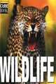 Wildlife, Manferto,V de Fabianis 