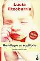 Un milagro en equilibrio, Etxebarria Lucia 