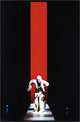 Robert Wilson, Pardo Carmen 