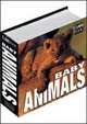 Baby Animals, Valeria Manferto De Fabianis 