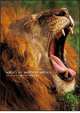 Safari in Wildest Africa, Christine Denis-Huot 