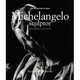 Michelangelo Sculptor, Luchinat Cristina Acidini 