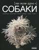 Мое хобби, 'Наши верные друзья-собаки', Шейкина Екатерина Александровна 