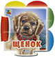 Щенок, Новицкий Е.В. 