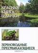 Красная книга Беларуси для детей. Земноводные. Пресмыкающиеся. Дробенков С.М., С. М. Дробенков 