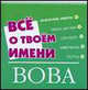 Все о твоем имени. Вова, Елена Якименко 