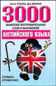 3000 наиболее употребительных слов и выражений английского языка: Словарь-справочник., Дэн Фискин, Алекс Пчелка 