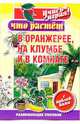 Что растет в оранжерее, на клумбе и в комнате: Развивающее пособие с наклейками - ('Учись играя!'), Калиновская Маргарита 
