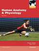 Human Anatomy & Physiology, Elaine Nicpon Marieb 