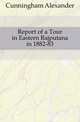 Report of a Tour in Eastern Rajputana in 1882-83, Cunningham Alexander 