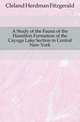 A Study of the Fauna of the Hamilton Formation of the Cayuga Lake Section in Central New York, Cleland Herdman Fitzgerald 