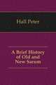 A Brief History of Old and New Sarum, Hall Peter 
