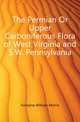 The Permian Or Upper Carboniferous Flora of West Virginia and S.W. Pennsylvania, Fontaine William Morris 