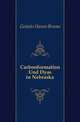 Carbonformation Und Dyas in Nebraska, Geinitz Hanns Bruno 