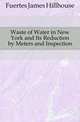 Waste of Water in New York and Its Reduction by Meters and Inspection, Fuertes James Hillhouse 