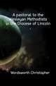 A pastoral to the Wesleyan Methodists in the Diocese of Lincoln, Wordsworth, Christopher 