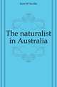The naturalist in Australia, Kent W. Saville 