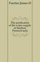 The purification of the water supply of Steelton, Pennsylvania, James H. Fuertes 