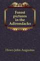 Forest pictures in the Adirondacks, Hows John Augustus 