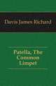 Patella, The Common Limpet, Davis James Richard 