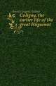Coligny, the earlier life of the great Huguenot, Bersier Eugene Arthur 