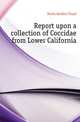 Report upon a collection of Coccidae from Lower California, Ferris Gordon Floyd 