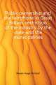 Public ownership and the telephone in Great Britain, restriction of the industry by the state and the municipalities, Meyer Hugo Richard 