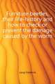 Furniture beetles, their life-history and how to check or prevent the damage caused by the worm, Laing Frederick 