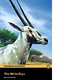 The White Oryx (+ Audio CD), Smith, Bernard 