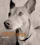 Street Dogs, Scott Traer 