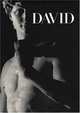 Michelangelo`s David, Amendola Aurelio 
