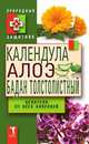 Календула, алоэ и бадан толстолистный - целители от всех болезней, 