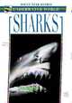 Sharks, Mojetta Angelo 