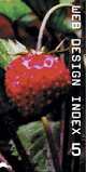 Web Design Index 5 (+ CD-ROM), Gunter Beer 