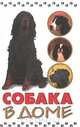 Собака в доме, 