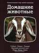 Домашние животные, 
