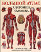 Большой атлас анатомии человека, Махиянова Евгения Борисовна 