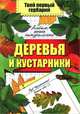 Деревья и кустарники. Альбом юного натуралиста, Шустов Сергей Борисович 