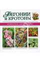 Бегонии и кротоны - (Комнатное цветоводство), - 