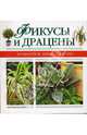 Фикусы и драцены, 