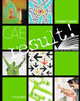 CAE Result!: Student Book, Kathy Gude, Mary Stephens 