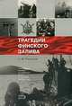 Трагедии Финского залива, Платонов Андрей Валерьевич 