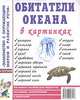 Обитатели океана в картинках: Дельфин; Кальмар; Коралл и др.: Наглядное пособие для педагогов, логопедов, воспитателей и родителей (худ. Кулакова Н., Кудряков Д.), Кулакова Н. 