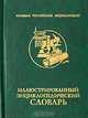 Иллюстрированный энциклопедический словарь (в с/о), Горкин А.П. 
